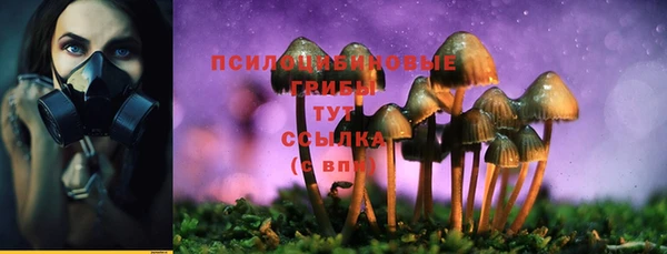 синтетический гашиш Бугульма