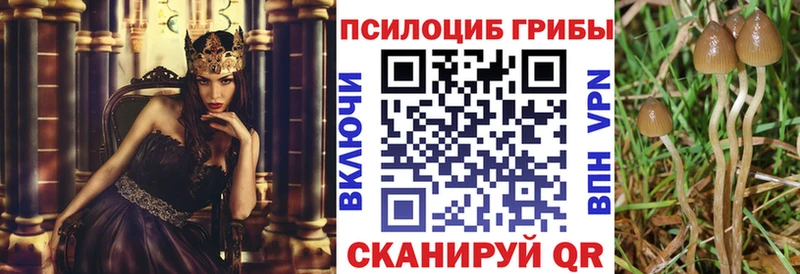 Галлюциногенные грибы GOLDEN TEACHER Городовиковск